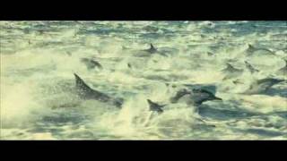 Oceans (2009) second trailer w/subs
