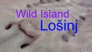 [TRAILER] Leben in zwei Welten - Die Insel Losinj (2013 version)