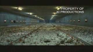 Environmental Film Festival - I Trailer. 2° Parte