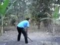 Image Kocak Video Lucu Bersin Ngeluarin Sapi Funny Cow Video