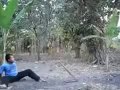 Picture Kocak Video Lucu Bersin Ngeluarin Sapi Funny Cow Video