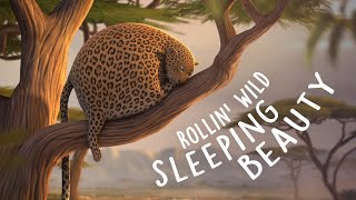 ROLLIN' SAFARI - 'Sleeping Beauty' - Official Trailer ITFS 2013