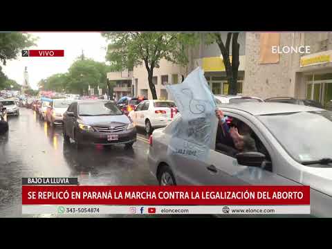 Se replicó en Paraná la marcha contra la legalización del aborto