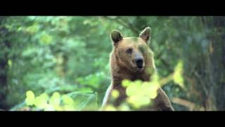 Les Conquérants, teaser 3, sortie le 25 Septembre 2013