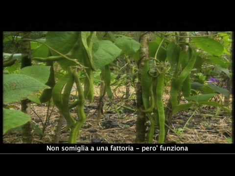 Una Fattoria per il futuro - Parte 4 di 6 (A farm for the future - BBC - Sottotitoli in italiano)