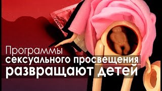 Эксперт: программы секспросвета не просвещают, а развращают детей