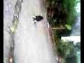 Photo Makhluk Ngewe
