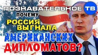 Почему Россия выгнала американских дипломатов? (Артём Войтенков)