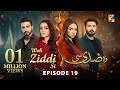 Woh Ziddi Si - Episode 19 - 9th Nov 2024 [ Aina Asif & Shazeal Shaukat ]  SIA BEAUTY CREAM - HUM TV