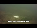 Image Snoek Eet Paling In Engelgaarde