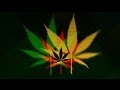?Top 10 Crazy Songs While High? (Dubstep/Electro/Drumstep/House/EDM/Trance)