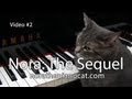 Nora The Piano Cat 