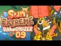 Pokemon Sun Extreme Randomizer Rom