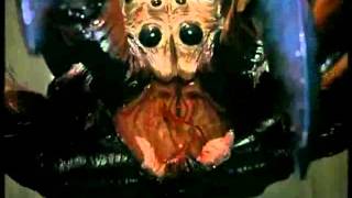 Spiders (Пауки) (Aracnofobia II) (Gary Jones, EEUU, 2000) - Extended Trailer
