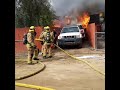 Un homme sauve son chien de sa maison en feu Un homme sauve son chien de sa maison en feu