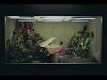 OFFSET & John Legend Never Let Go (Official Video)