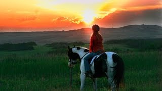 Ein Pferd für Moondance (Trailer OmU)