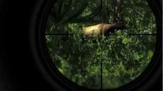 the Hunter 2013 Official Trailer