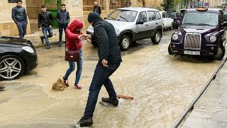 За сутки в Баку выпало полторы месячных нормы осадков
