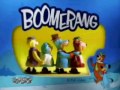 Image Boomerang Porm Bumper