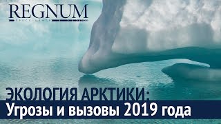 «Экология Арктики: угрозы и опасности 2019-го года»: пресс-конференция (05.07.2019 16:59)