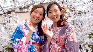 Moments in Kyoto - Sakura | Real Beauty Cherry Blossoms Kyoto Japan 京都の桜 着物美人と夜桜 京都観光