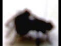 Photo Sex Lalat