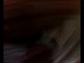 Picture My Naughty Friends 3gp