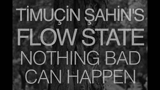 Timucin Sahin's Flow State "Nothing bad can happen" Trailer