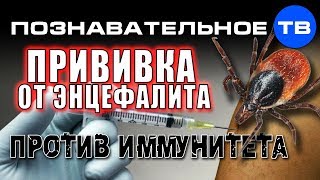 Прививка от энцефалита против иммунитета (Кирилл Лебедев)
