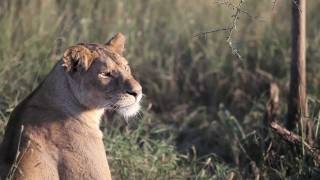 roundtrip - East Africa 2012 (Trailer)
