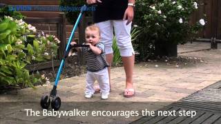 niniwalker baby walker