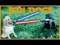 Video Jedi dogs