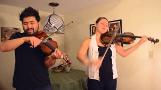 Miley Cyrus - Wrecking Ball (Violin and Viola Cover by David Wong and Stephanie Price)