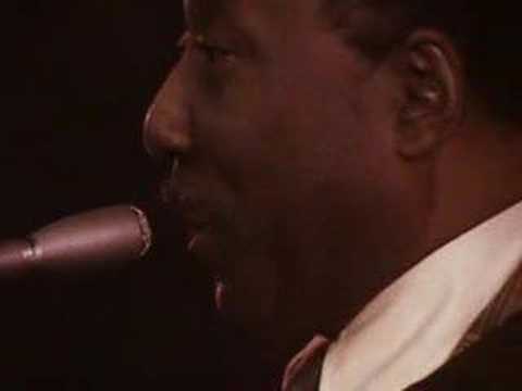 Muddy Waters - Mannish Boy