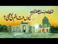 Why was the Tehreek-e-Minhaj-ul-Quran established?