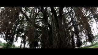 AALAMARAM MOVIE OFFICIAL TRAILER-hd