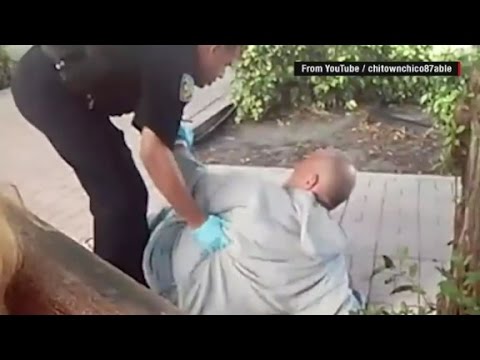 Caught on camera: Florida police get physical