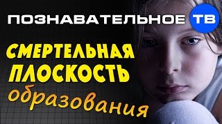 Смертельная плоскость образования (Владимир Базарный)