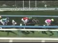 【貴重】細江純子さん 1996年初勝利現地単勝馬券 レゾンデートル 細江純子氏「決して悪いというわけではないのですが」：細江