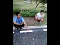 Image Ngewe Di Kebun 20130911_074700 Mp4