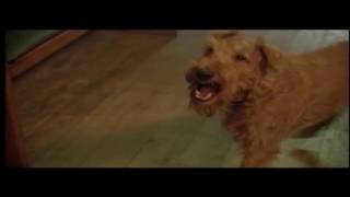 Mehpara Najafova - Firehouse Dog. Azerbaijani trailer