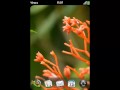 gdial pro youtube