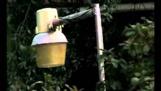 Trailer VIDRIO-Macario.mp4