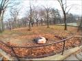 
Long island Bmx, (includ