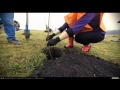 VIDEOCLIP Plantare de toamna pentru Padurea Copiilor - 2 [VIDEO] / 7 noiembrie 2015