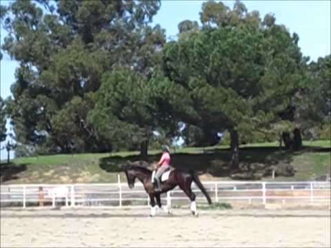 Hit to Play Youtube video Youtube video