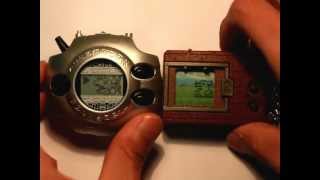 digimon tamagotchi 2018