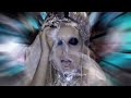 LADY GAGA - Marry The Night LADY GAGA - Marry The Night