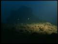Macdonald Seamount